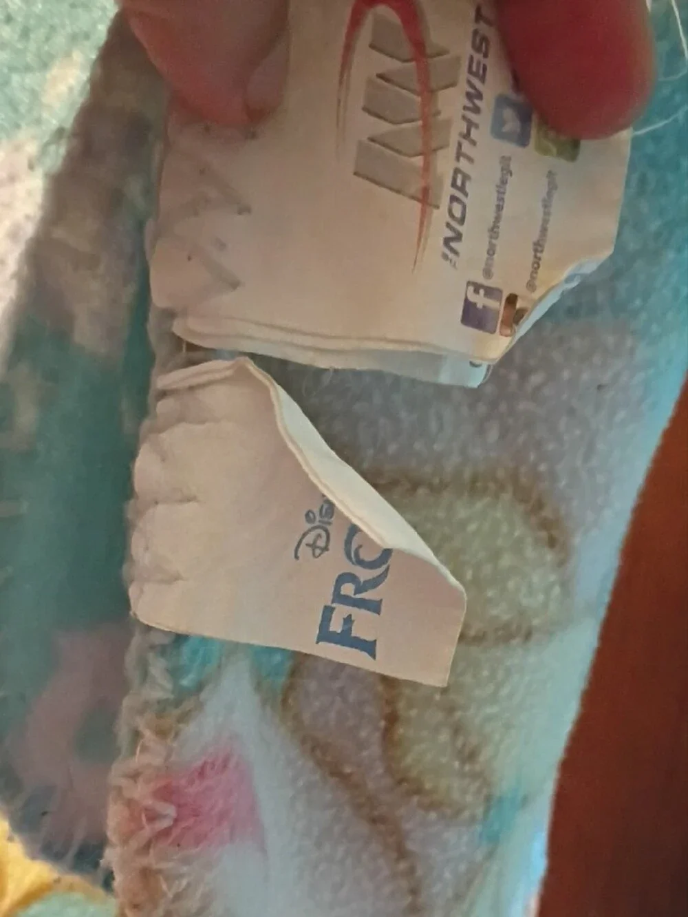Northwest Elsa Blue Plush Throw Blanket